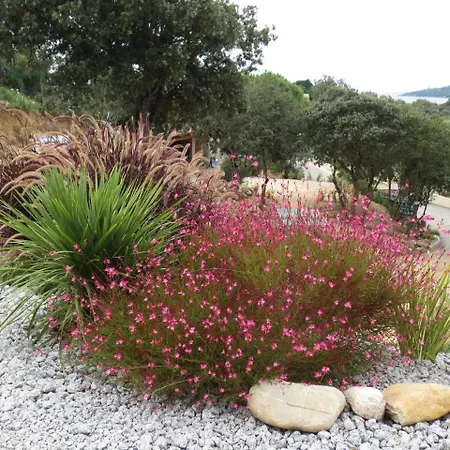 Camping Colomba Olmeto (Corsica)