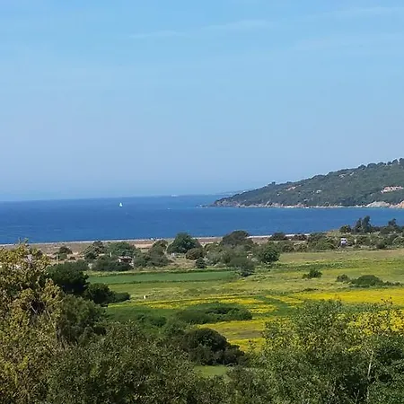 Kamp alanı Camping Colomba 4*
